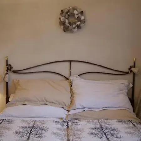 Oda ve Kahvaltı Beb Madamadore