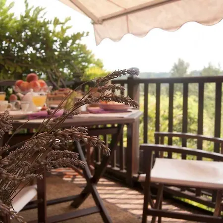 Beb Madamadore Bed & Breakfast Andezeno